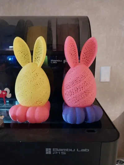 https://makerworld.bblmw.com/makerworld/comment/20260219/4219090235/62153e6c6236ed2c.jpg