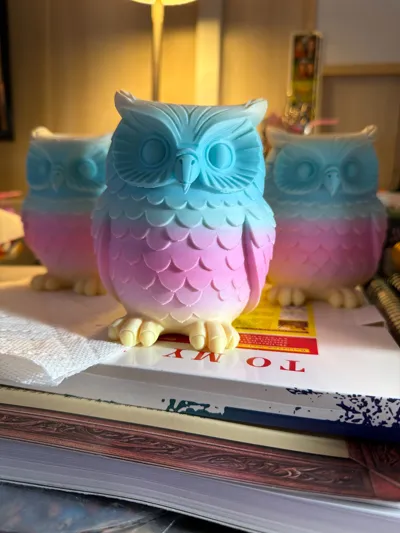 https://makerworld.bblmw.com/makerworld/comment/20260220/1176770991/b888a5d144a7e248.jpg