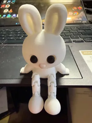 https://makerworld.bblmw.com/makerworld/comment/20260220/1282340806/2e927dd27388d8f2.jpeg