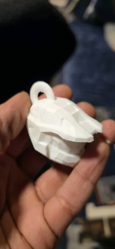 https://makerworld.bblmw.com/makerworld/comment/20260220/1921599377/85b38c5c7e6f3927.jpg