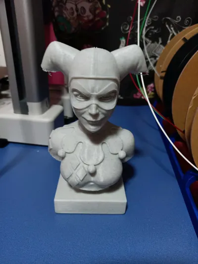 https://makerworld.bblmw.com/makerworld/comment/20260220/193397171/5ade04d57bef9d45.jpg