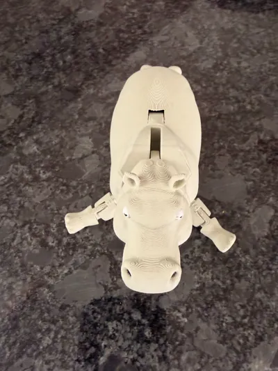 https://makerworld.bblmw.com/makerworld/comment/20260220/2004437401/72fedaff4d4c20f5.jpg