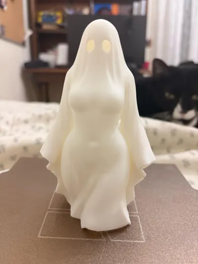 https://makerworld.bblmw.com/makerworld/comment/20260220/2182252324/552248fdf7b161c5.jpg