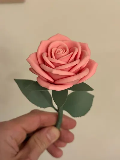 https://makerworld.bblmw.com/makerworld/comment/20260220/2240205488/6da05654d15b17d1.jpg