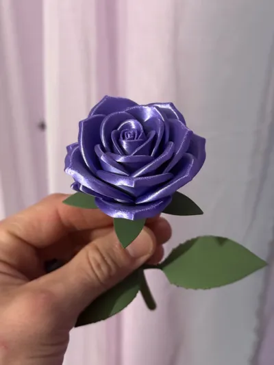 https://makerworld.bblmw.com/makerworld/comment/20260220/2240205488/a3bd414283b6ffd0.jpg