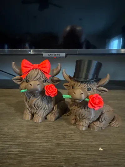 https://makerworld.bblmw.com/makerworld/comment/20260220/2254951186/651c89e2964d0756.jpg