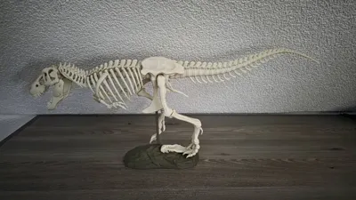 https://makerworld.bblmw.com/makerworld/comment/20260220/2391541875/ed6de4cf856929bc.jpg