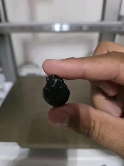 https://makerworld.bblmw.com/makerworld/comment/20260220/2503764635/02896dac118cf3fd.jpg