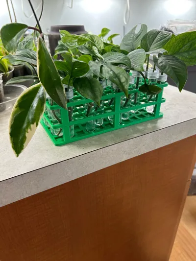 https://makerworld.bblmw.com/makerworld/comment/20260220/2740139923/4f0148a5f03647ac.jpg