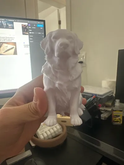 https://makerworld.bblmw.com/makerworld/comment/20260220/2868815876/a55f74e25fd17c50.jpg