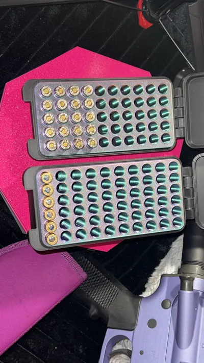 https://makerworld.bblmw.com/makerworld/comment/20260220/2966820031/39680a013a594d23.jpg