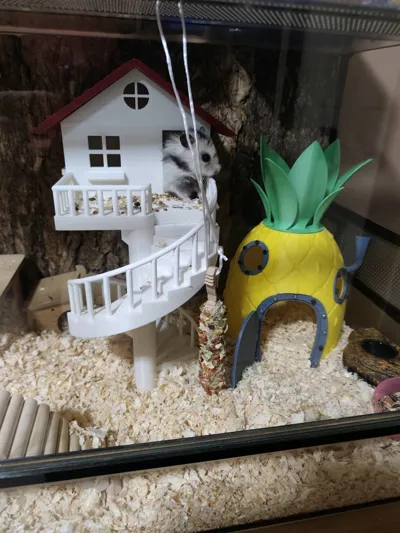 https://makerworld.bblmw.com/makerworld/comment/20260220/2997039093/8c80ea05c7f0121f.jpg