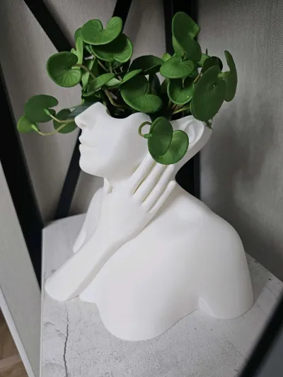 https://makerworld.bblmw.com/makerworld/comment/20260220/3504021136/2e413fbd05b595d6.jpg