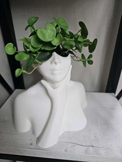 https://makerworld.bblmw.com/makerworld/comment/20260220/3504021136/7d3db7213c23b658.jpg