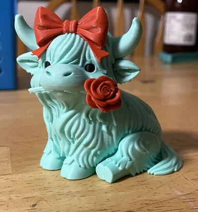 https://makerworld.bblmw.com/makerworld/comment/20260220/3582063512/d8d73db17fd1f7ca.jpg