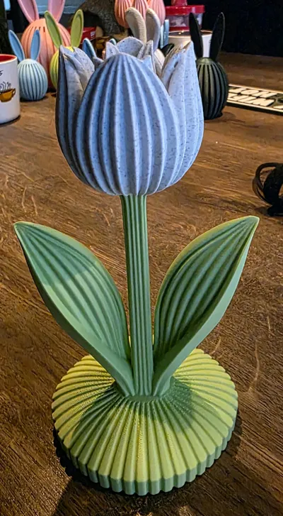 https://makerworld.bblmw.com/makerworld/comment/20260220/3661622283/0544fbf128cda13b.jpg