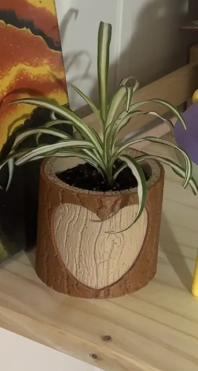 https://makerworld.bblmw.com/makerworld/comment/20260220/3933546792/cbf55f8683cff3ec.jpg
