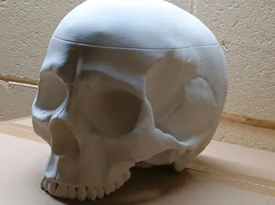 https://makerworld.bblmw.com/makerworld/comment/20260220/441611421/099c57ad61dbace8.jpg