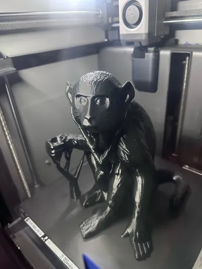 https://makerworld.bblmw.com/makerworld/comment/20260220/85997411/849740c18216c574.jpg
