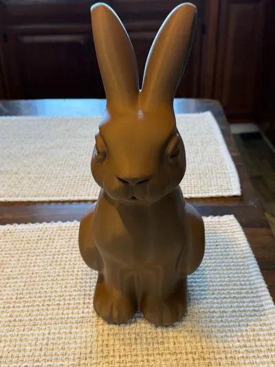 https://makerworld.bblmw.com/makerworld/comment/20260221/1055028225/6f9cbf9f59d18114.jpg