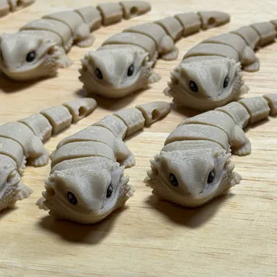 https://makerworld.bblmw.com/makerworld/comment/20260221/1094471605/f53fa7f2aa727cba.jpg
