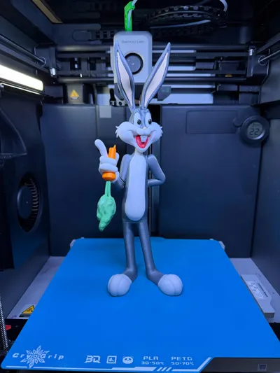 https://makerworld.bblmw.com/makerworld/comment/20260221/1105710908/b0cd205c2c4231d5.jpg
