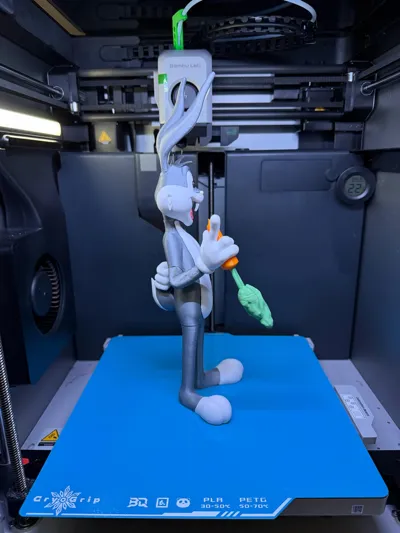 https://makerworld.bblmw.com/makerworld/comment/20260221/1105710908/d9764e644201b072.jpg