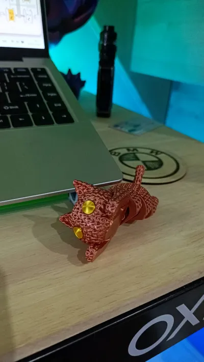 https://makerworld.bblmw.com/makerworld/comment/20260221/1250721279/600abfbeadb41a77.jpg