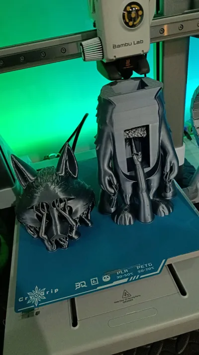 https://makerworld.bblmw.com/makerworld/comment/20260221/1250721279/b591991c31dfb0be.jpg