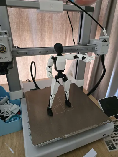 https://makerworld.bblmw.com/makerworld/comment/20260221/1503121646/d9dfa7b668497ada.jpg