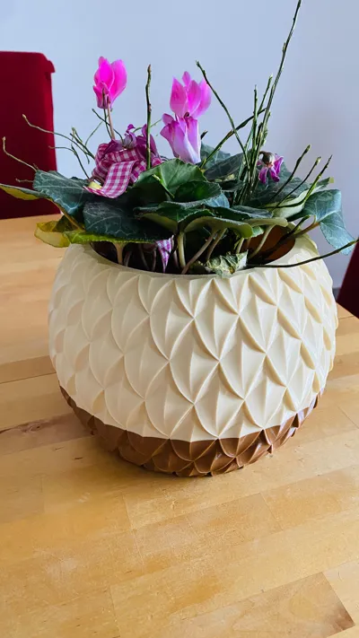 https://makerworld.bblmw.com/makerworld/comment/20260221/150737961/88c3df077d380cac.jpeg
