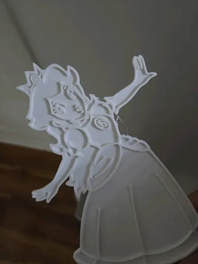 https://makerworld.bblmw.com/makerworld/comment/20260221/1522287417/f47569ec9bb53370.jpg