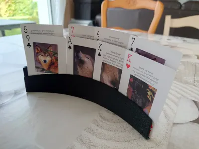 https://makerworld.bblmw.com/makerworld/comment/20260221/198381195/c4491098a1f850d1.jpg