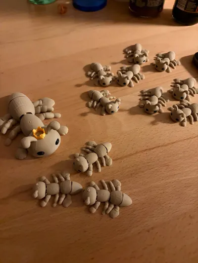 https://makerworld.bblmw.com/makerworld/comment/20260221/1995718566/a72791d2eeaca662.jpg