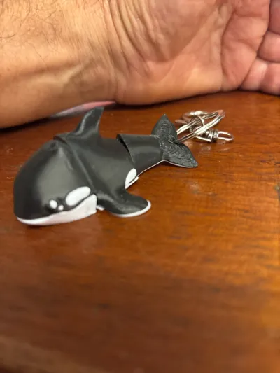 https://makerworld.bblmw.com/makerworld/comment/20260221/2078220865/2e3a17b609ade725.jpg