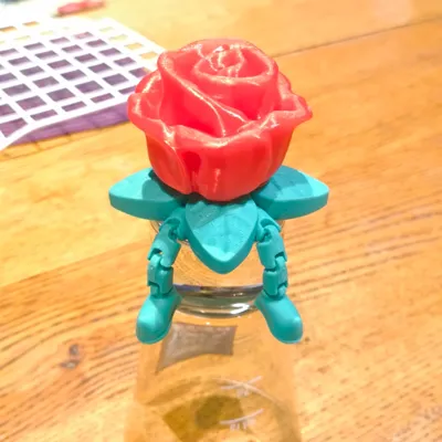https://makerworld.bblmw.com/makerworld/comment/20260221/2086354291/522896b6bed5ca7f.jpg