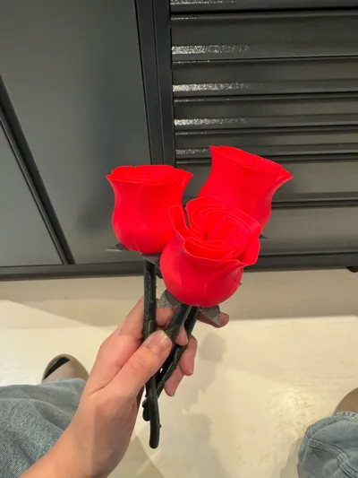 https://makerworld.bblmw.com/makerworld/comment/20260221/2140135815/b291e73a68bb02cc.jpg
