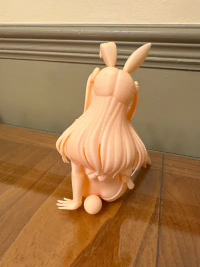 https://makerworld.bblmw.com/makerworld/comment/20260221/2173181066/6a8f08e4794794d3.jpg
