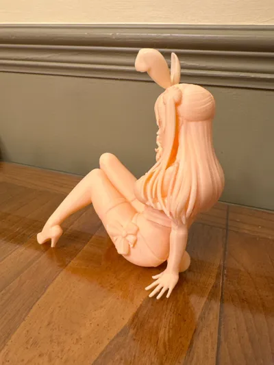 https://makerworld.bblmw.com/makerworld/comment/20260221/2173181066/6bacea26ff647ebb.jpg
