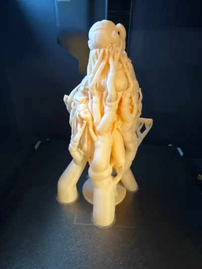 https://makerworld.bblmw.com/makerworld/comment/20260221/2173181066/e3f064a65bf00633.jpg