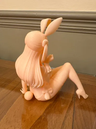 https://makerworld.bblmw.com/makerworld/comment/20260221/2173181066/fba83be5424d36e6.jpg