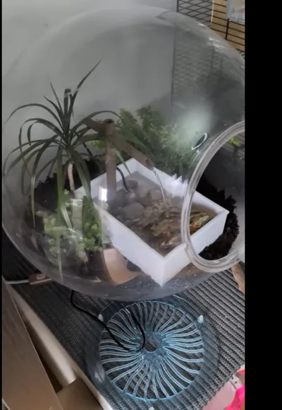 https://makerworld.bblmw.com/makerworld/comment/20260221/2426610680/099499585e7c0fd9.png