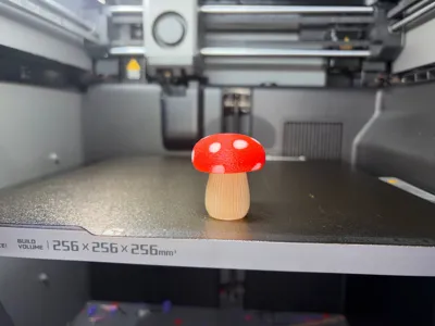 https://makerworld.bblmw.com/makerworld/comment/20260221/268523170/fb715651d09b3568.jpg