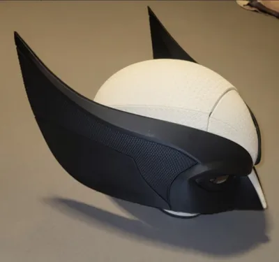 https://makerworld.bblmw.com/makerworld/comment/20260221/2697147084/51b1c9863c62a50c.jpg