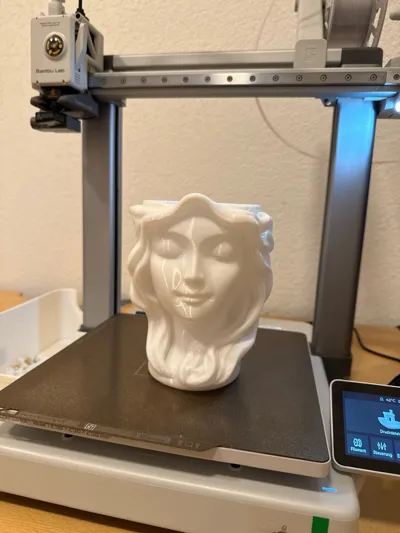 https://makerworld.bblmw.com/makerworld/comment/20260221/275797083/14040e419d127124.jpg