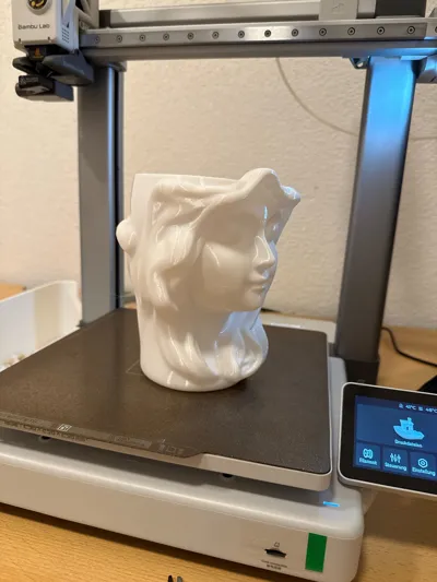 https://makerworld.bblmw.com/makerworld/comment/20260221/275797083/eb2fc3d871661224.jpg