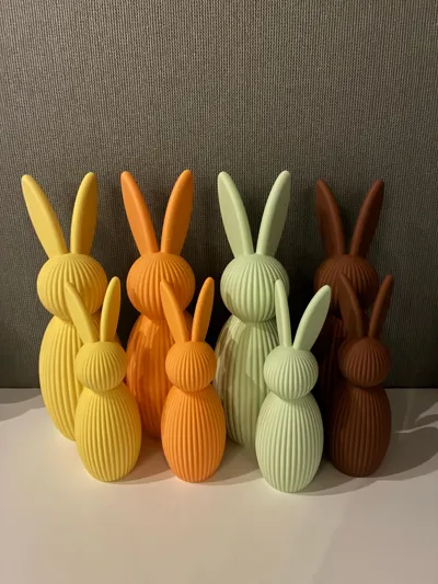 https://makerworld.bblmw.com/makerworld/comment/20260221/3033493373/86cfe19cfc6d65f1.jpg