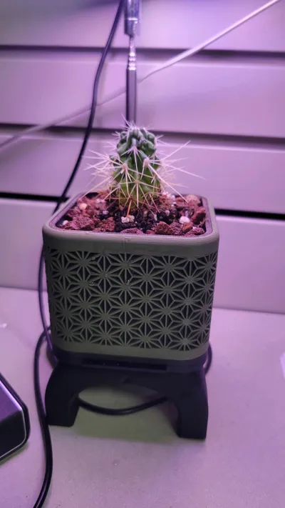 https://makerworld.bblmw.com/makerworld/comment/20260221/3122879197/bb72445c26c93aee.jpg
