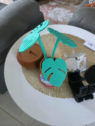 https://makerworld.bblmw.com/makerworld/comment/20260221/3164583999/2daf9d561dd029ea.jpg
