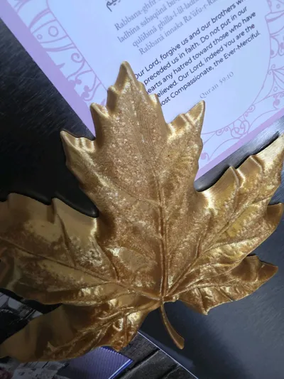 https://makerworld.bblmw.com/makerworld/comment/20260221/3164583999/7b1da75433cfe66b.jpg